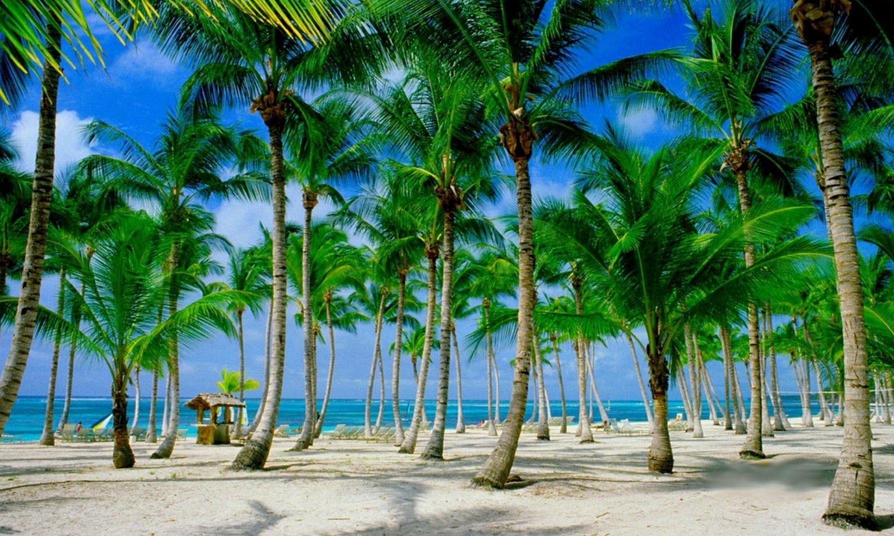 Punta Cana y Bayahibe x 10 días - Julio a Diciembre - Vuelo Directo !